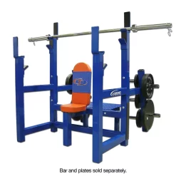 Olympic Shoulder Press Bench With Plate Storage -- Legend Fitness (3156)