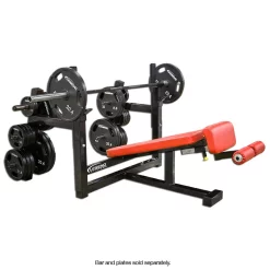 Decline Olympic Bench Press W/Plate Storage -- Legend Fitness (3157)