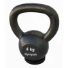 Economy Cast Iron Kettlebell With Rubber Base In Kilograms -- Kamparts (KTB)
