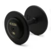 Economy Pro-Style Dumbbells With Black Plates And Ductile Iron End Caps – Ivanko (R2B/EP 1.25B)