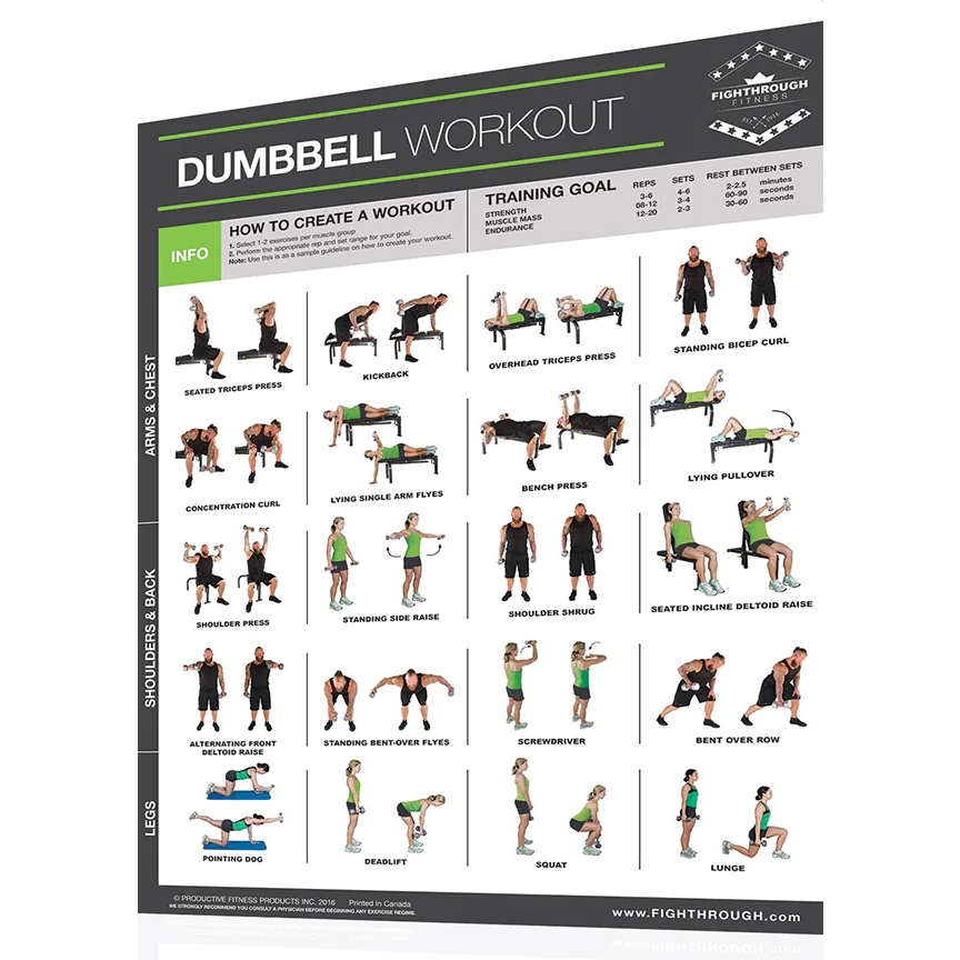 Fighthrough Fitness 18" X 24" Laminated Workout Poster - Dumbbell Training Exercises – Productive Fitness (FTD)