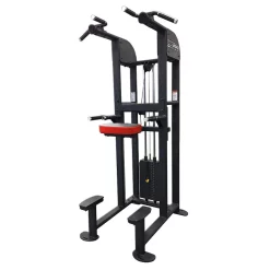SelectEDGE 1122 Dip / Chin Assist Combo -- Legend Fitness (1122)