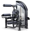 Selectorized Back Extension / Abdominal Crunch Machine -- SportsArt (DF206)