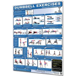 24" X 36" Laminated Fitness Poster / Wall Chart - Dumbbell Exercises β Productive Fitness (CDL)
