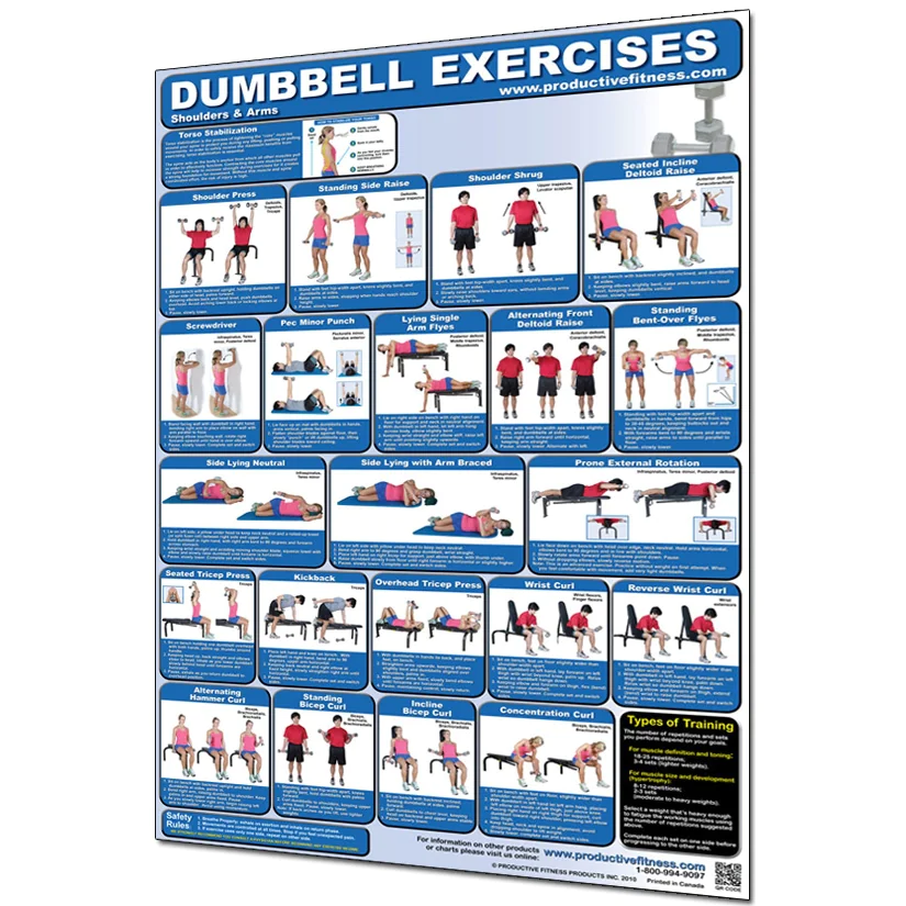 24" X 36" Laminated Fitness Poster / Wall Chart - Dumbbell Exercises – Productive Fitness (CDL) - Image 2