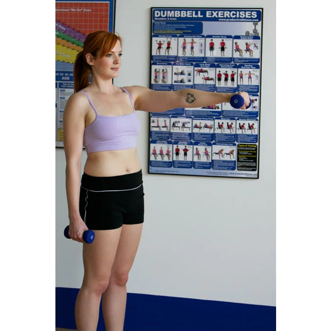 24" X 36" Laminated Fitness Poster / Wall Chart - Dumbbell Exercises – Productive Fitness (CDL) - Image 5