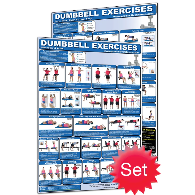 24" X 36" Laminated Fitness Poster / Wall Chart - Dumbbell Exercises – Productive Fitness (CDL) - Image 3