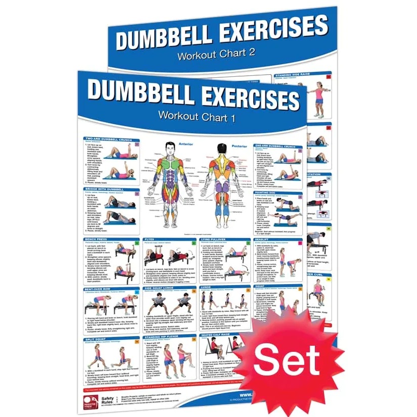 24" X 36" Laminated Fitness Poster / Wall Chart - Dumbbell Exercises – Productive Fitness (CDL) - Image 4